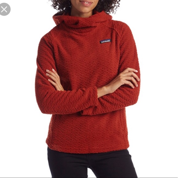 Patagonia Diamond Capra Hoodie 